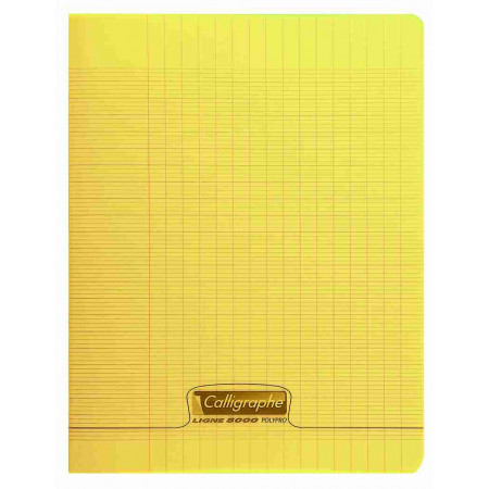 Calligraphe 8000 Polypro Cahier 96 pages 21 x 29.7 cm petits