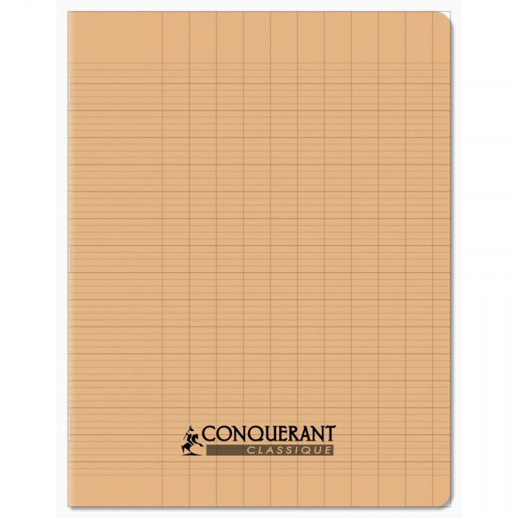 CAHIER POLYPRO 17*22 96P SEYES ABRI PAST