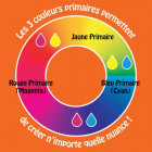 PEINTURE ACRYL PRINCES JAUNE PRIM 250ML